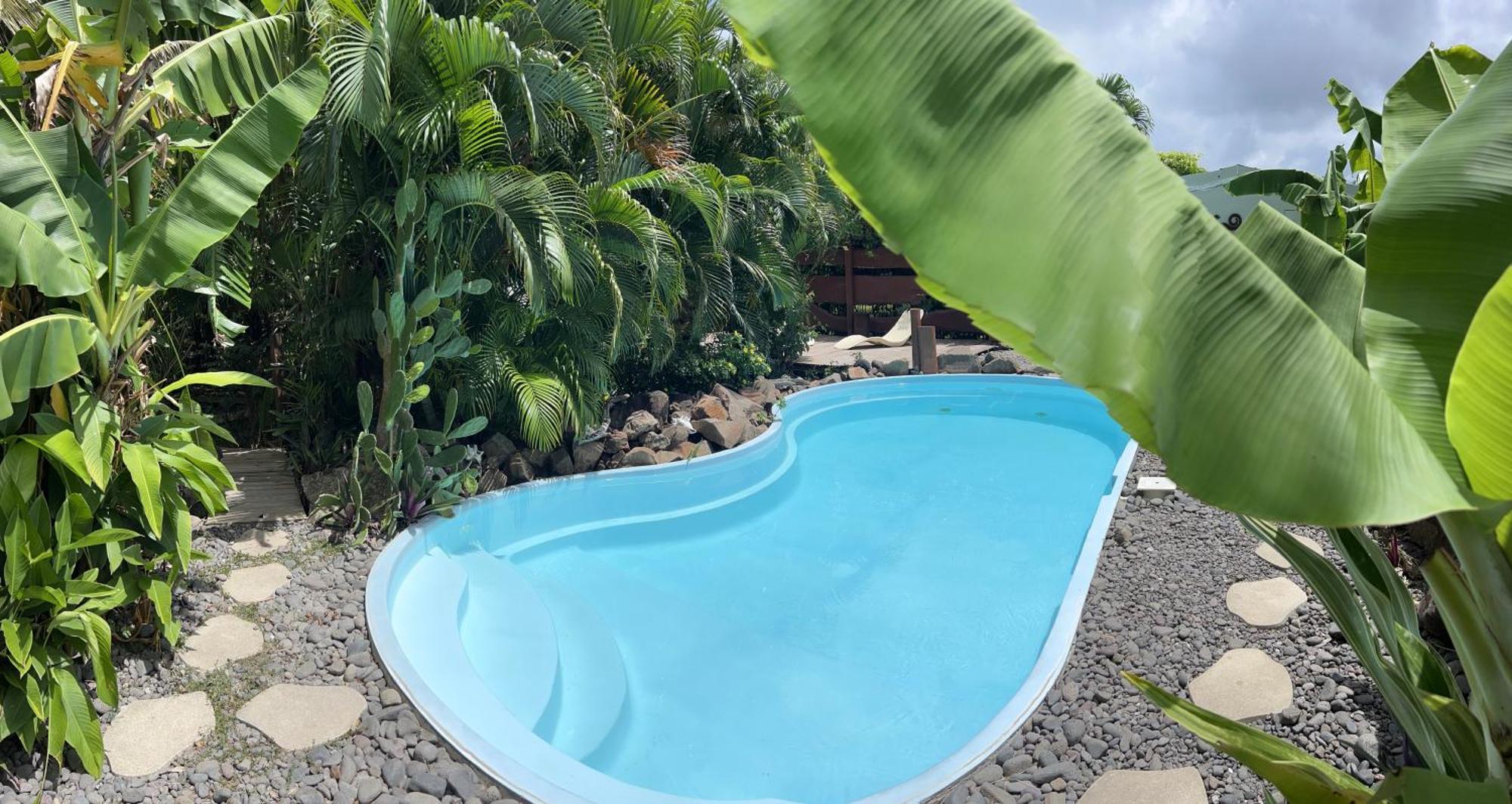 Orcea & Spa Sejours Ecofriendly Sainte-Anne Eksteriør billede